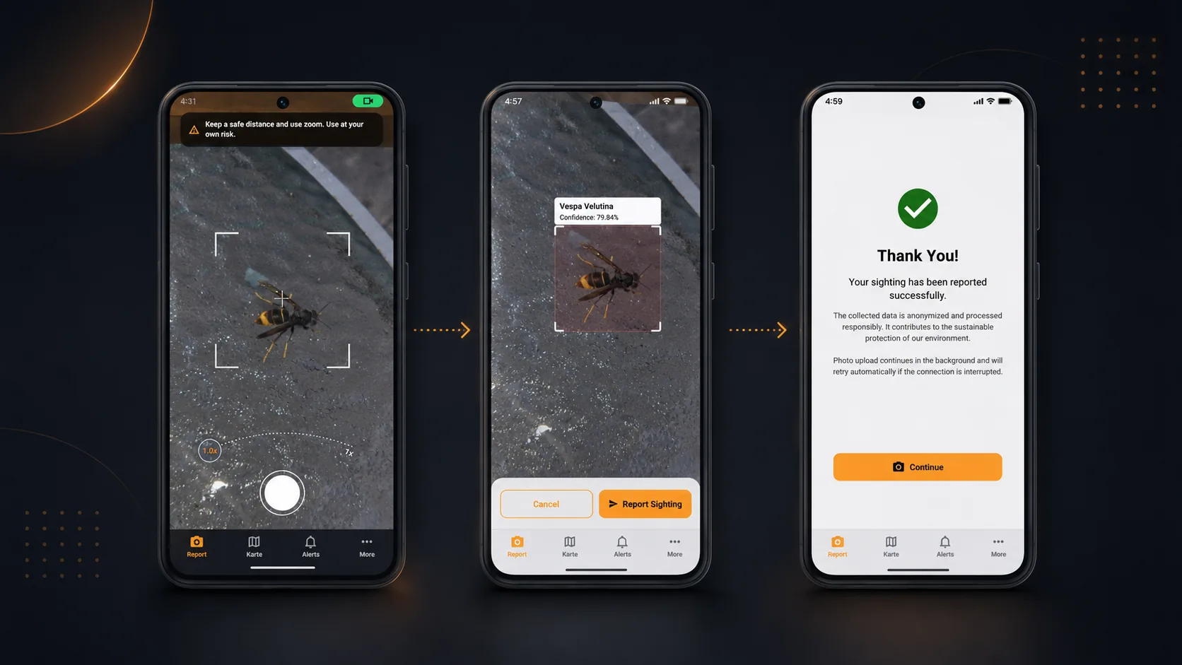 Drei App-Screens zeigen den Meldeprozess in HornetLog: Foto aufnehmen, Erkennung prüfen und Sichtung absenden.
