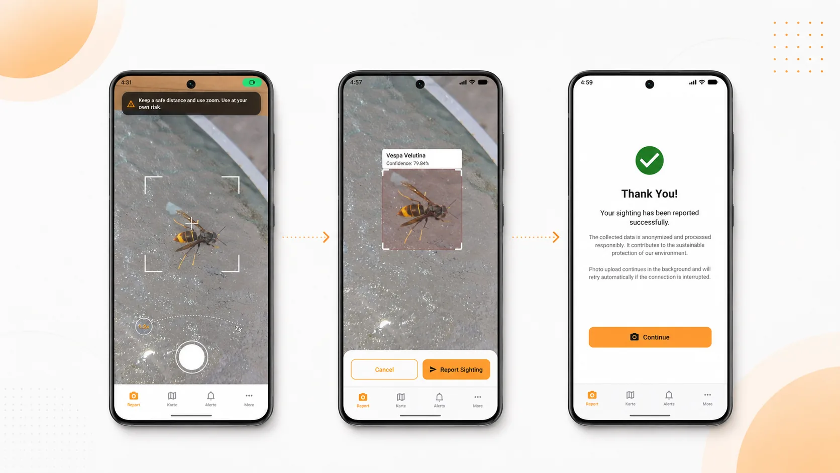 Drei App-Screens zeigen den Meldeprozess in HornetLog: Foto aufnehmen, Erkennung prüfen und Sichtung absenden.